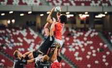 开云体育中国官网-从骑士速胜到世界杯主宰，霍勒迪的双重时间线