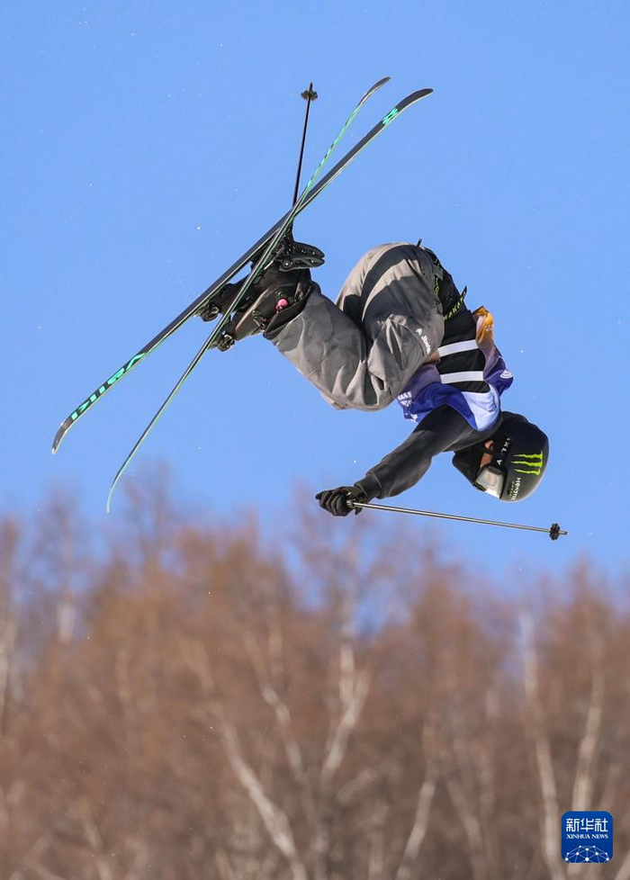 捷克名将再夺自由式滑雪双板滑行男子冠军的简单介绍