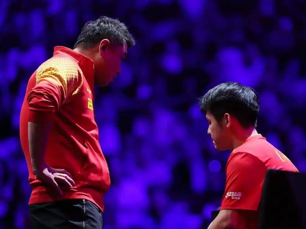 中国乒乓球队绝杀波兰乒乓球队，王皓高光表现的简单介绍