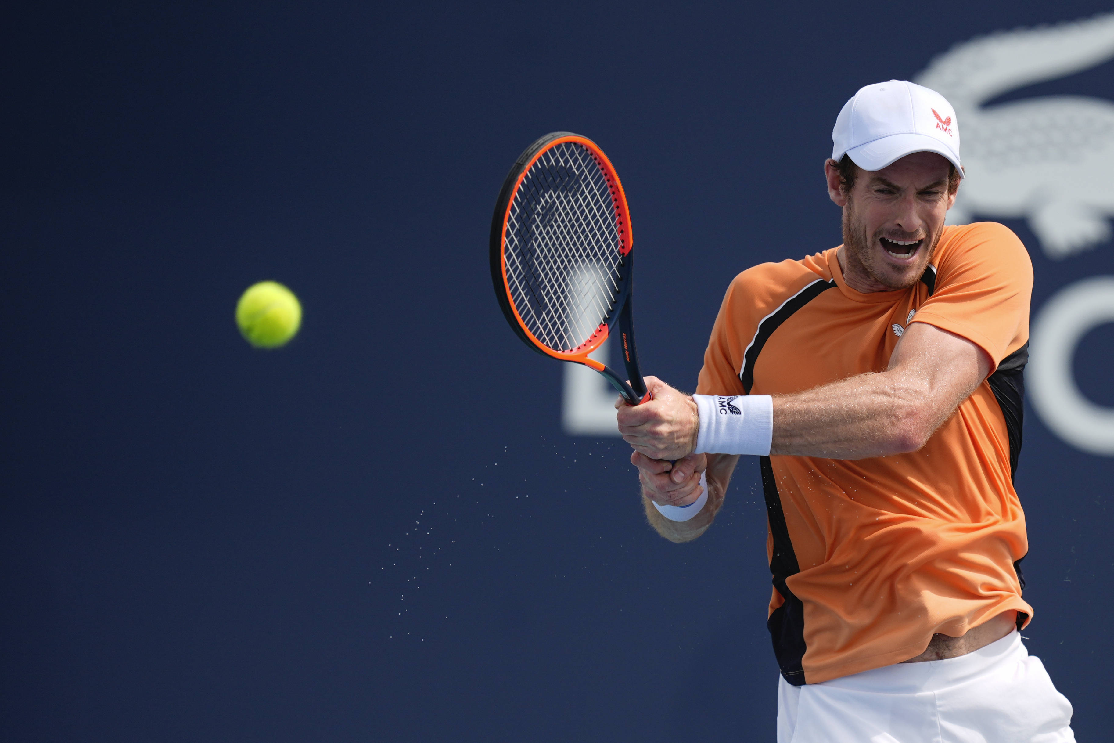 包含年终总决赛绝杀美网，穆雷惊艳四座的词条