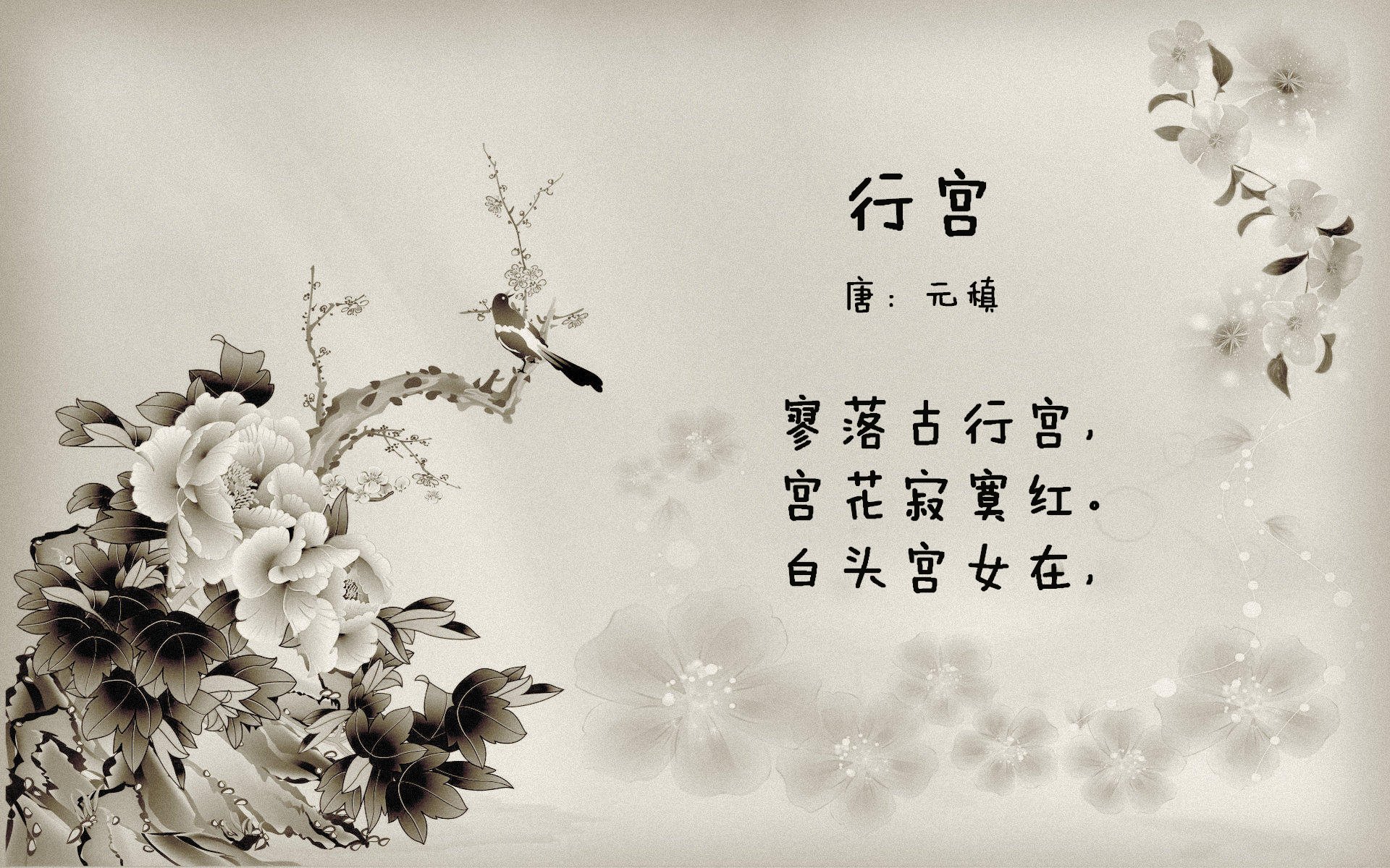 字母哥狂砍64分创生涯纪录,新疆男篮加时险胜浙江迎六连胜