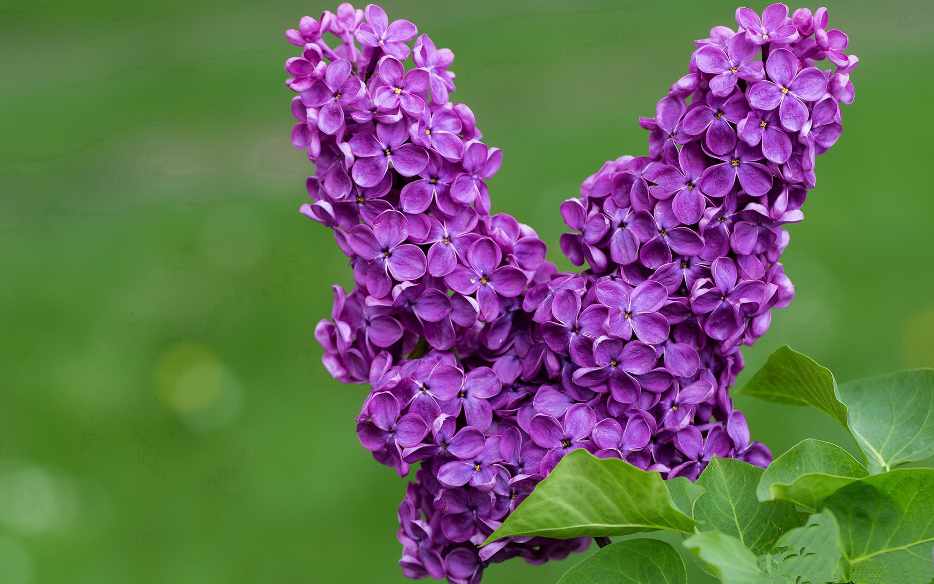 杜兰特末节狂飙19分完成自我救赎,浙江队险胜黄蜂锁定季后赛席位